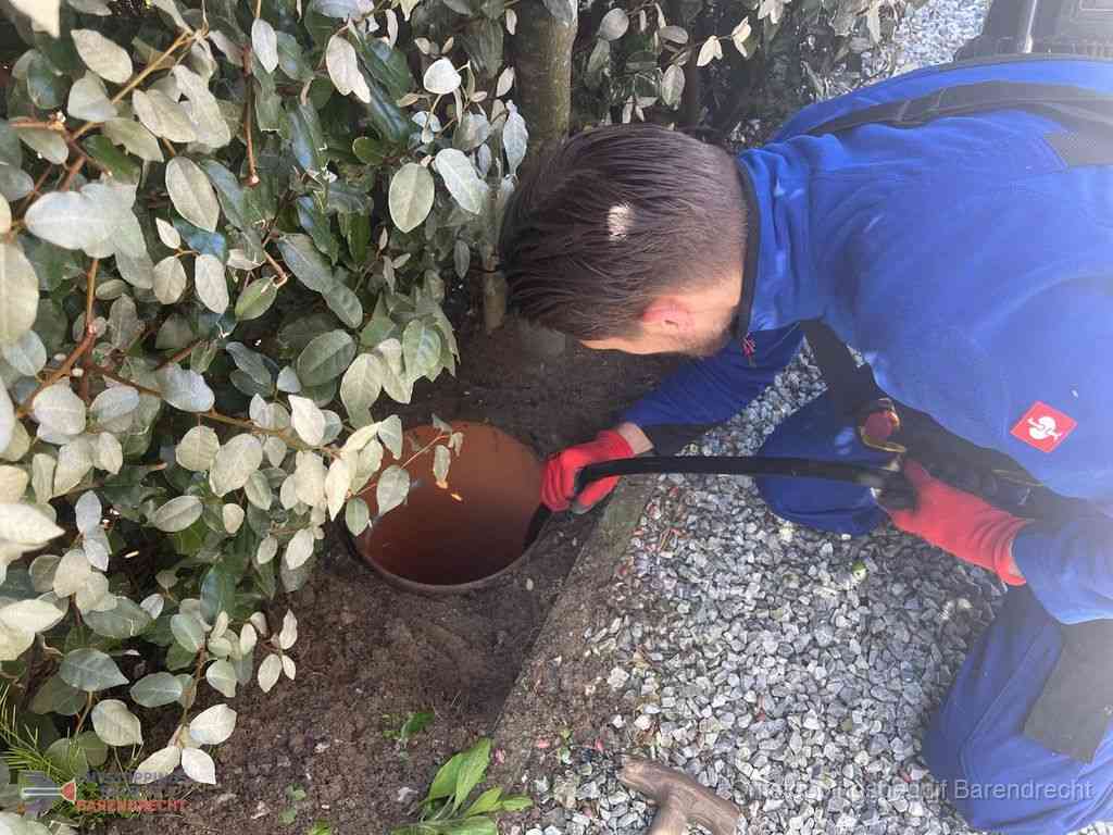 Rioolvliegjes Barendrecht Rioolvliegjes Barendrecht